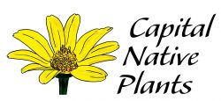 Capital Native Plants Logo